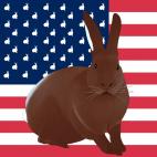 CHOCOLAT-FLAG MARRON GLACE FLAG rabbit flag Showroom - Inkjet on plexi, limited editions, numbered and signed. Wildlife painting Art and decoration. Click to select an image, organise your own set, order from the painter on line